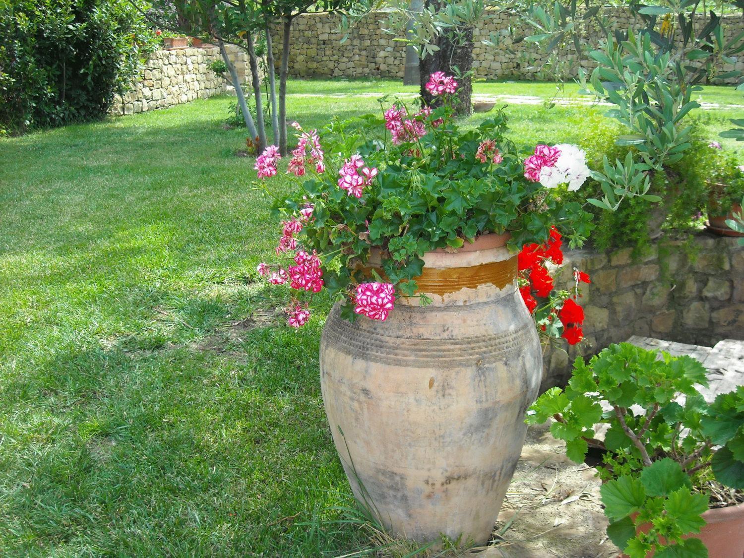 Agriturismo Villa Luca Sant'Agata di Militello Luaran gambar