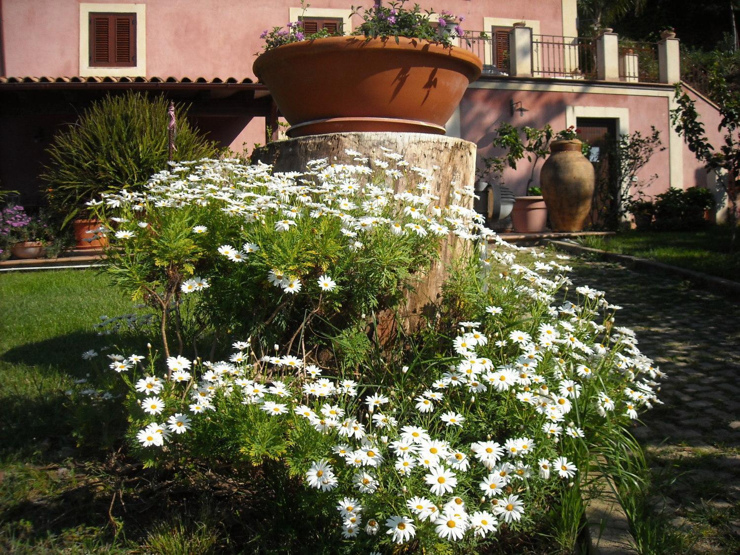 Agriturismo Villa Luca Sant'Agata di Militello Luaran gambar